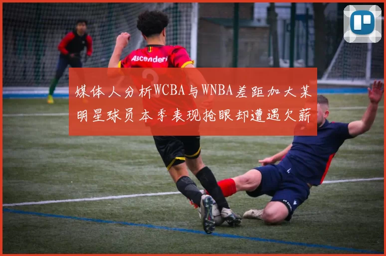 媒体人分析WCBA与WNBA差距加大某明星球员本季表现抢眼却遭遇欠薪困扰
